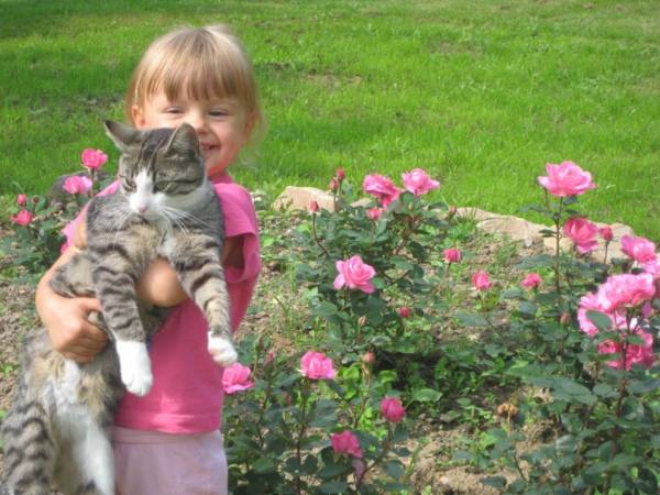 Agroturystyka Brzozowe Wzgórze