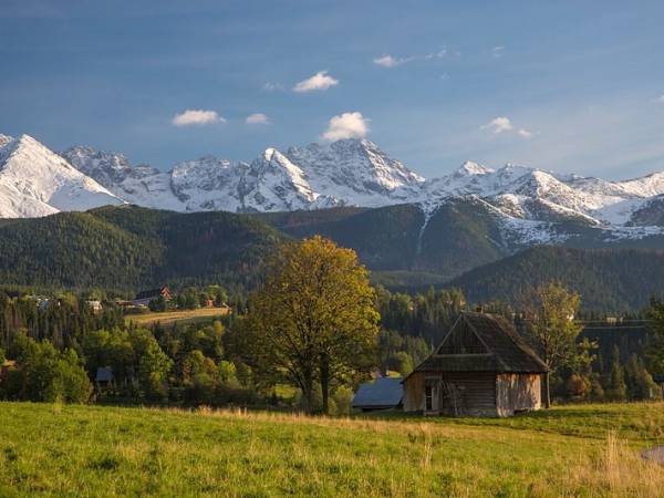 Nad domkiem 200m wyżej bacówka i droga na Wielki Kopieniec