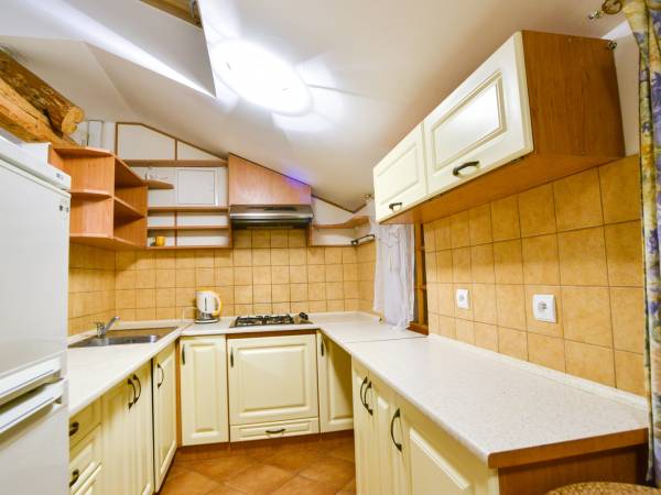 Apartament Pod Brzozą - kuchnia