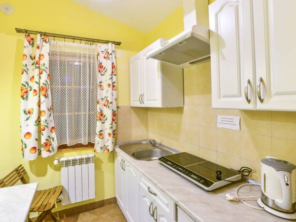 Apartament Pod Jodełką - kuchnia