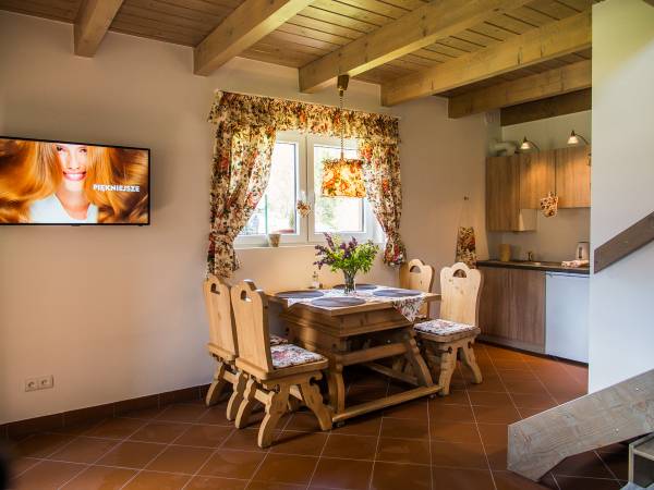 Pokój dzienny z aneksem