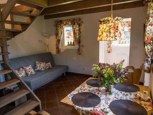 Pokój dzienny z aneksem