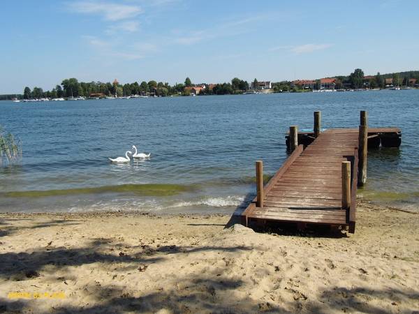 Domki letniskowe z basenem i dostępem do prywatnej plaży