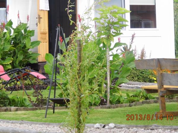 Domki letniskowe z basenem i dostępem do prywatnej plaży