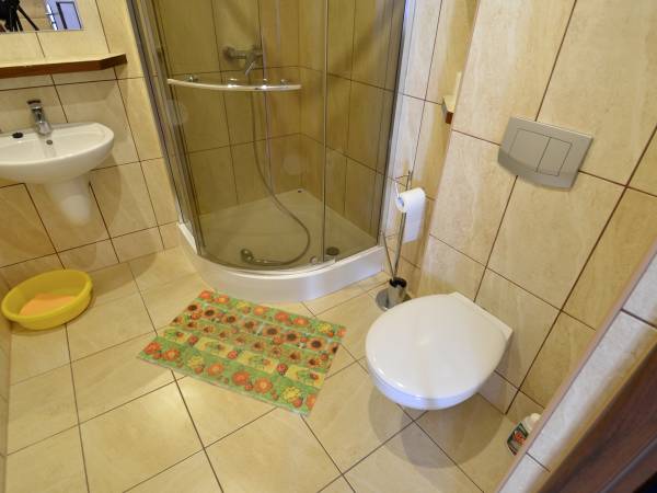 Domki całoroczne z kominkami i sauną i Apartamenty Grześ/Promyk Edenu