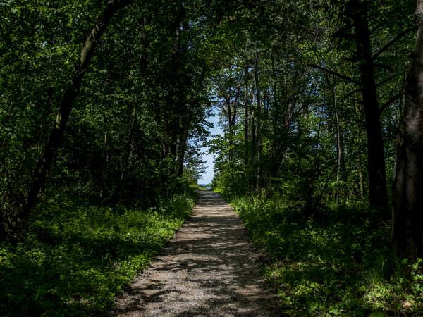 przejście na plażę