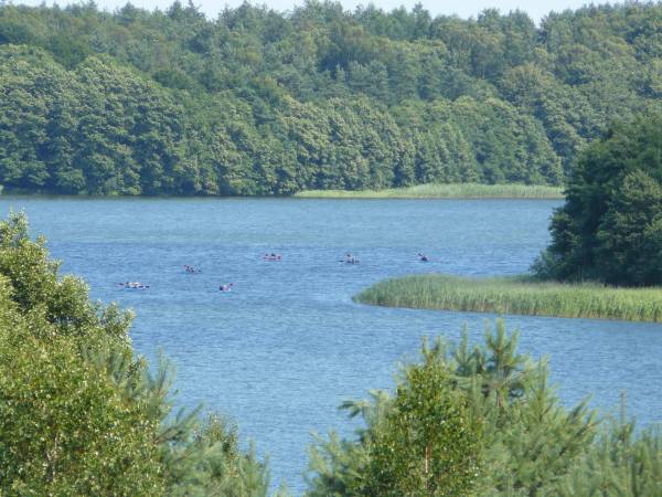 Dom Bratek spływy kajakowe Brdą