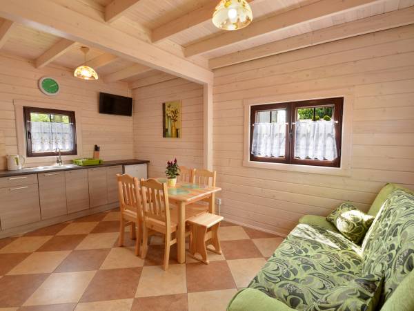 Pokój dzienny i aneks kuchenny w domku zielonym