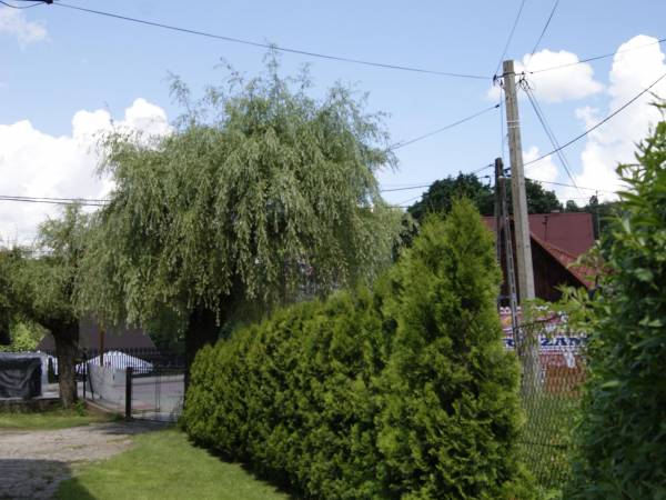 Pokoje gościnne Barbara 