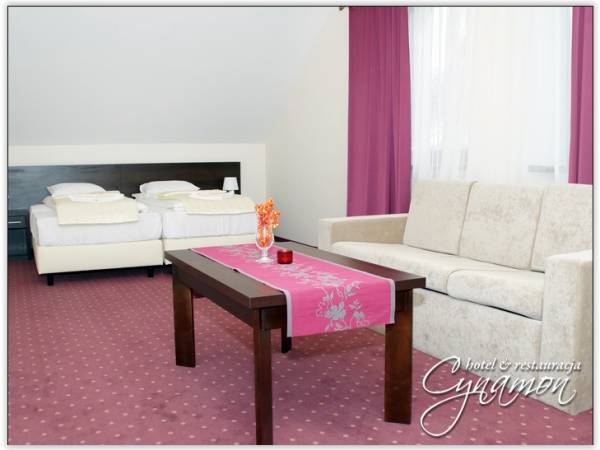  Hotel Cynamon