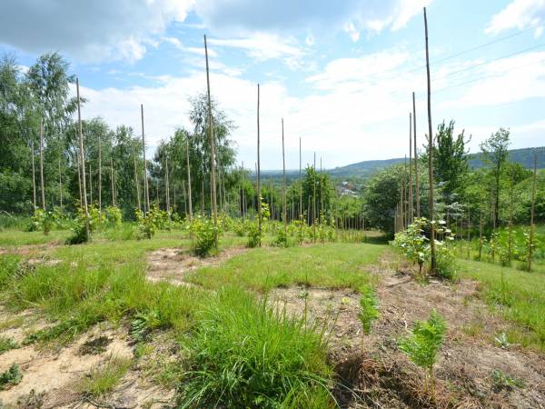 Świetnokrzyska Chata