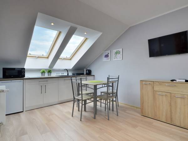 Apartament jednopokojowy nr.2