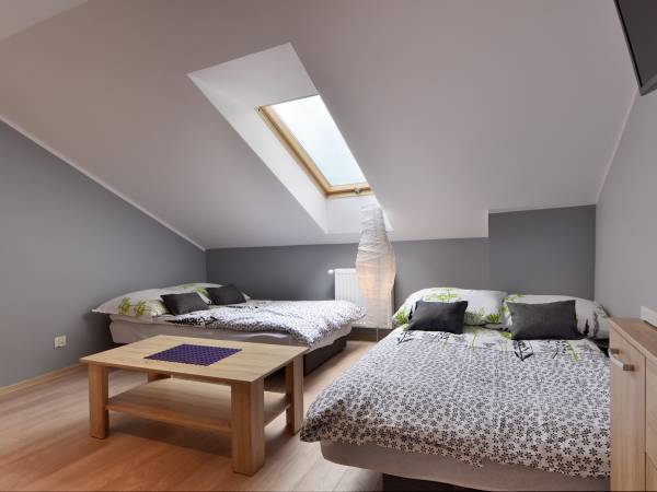 Apartament jednopokojowy nr,1