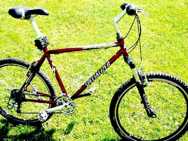 Jeden z rowerów górskich