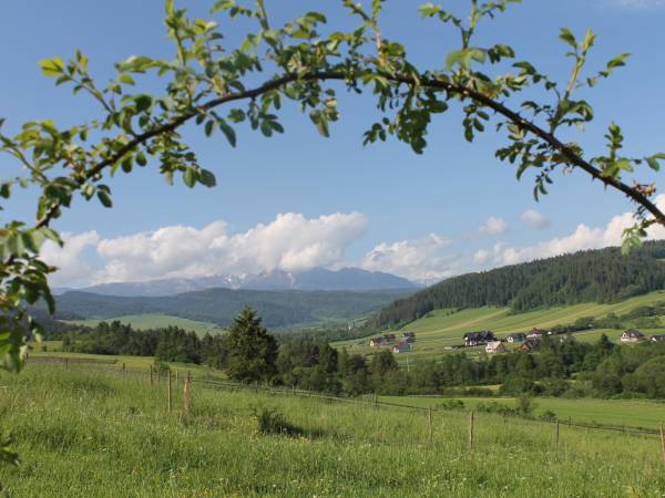 Domek Pod Modrzewiem 