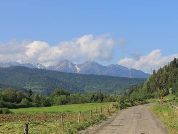 Domek Pod Modrzewiem 