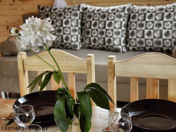 Całoroczne Domki Zaciszna Polana 