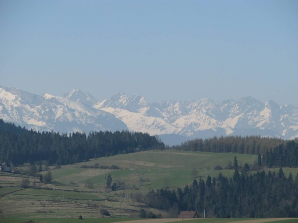 Domki Czterech Braci