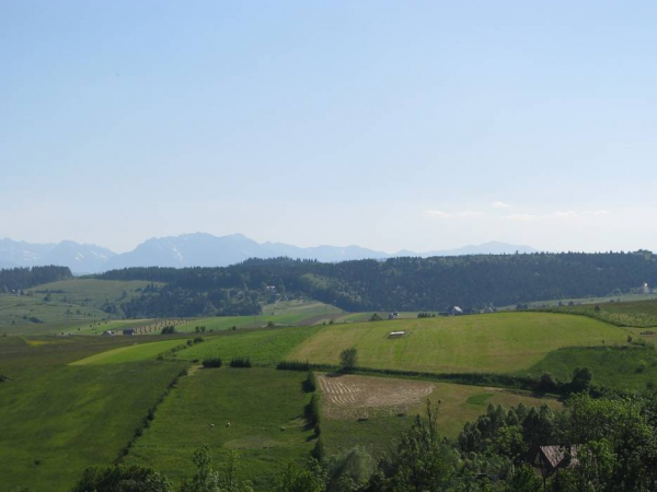 Domki Czterech Braci