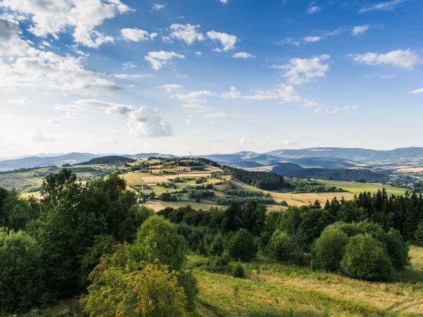 Widok z wieży widokowej na Górze Wszystkich Św.