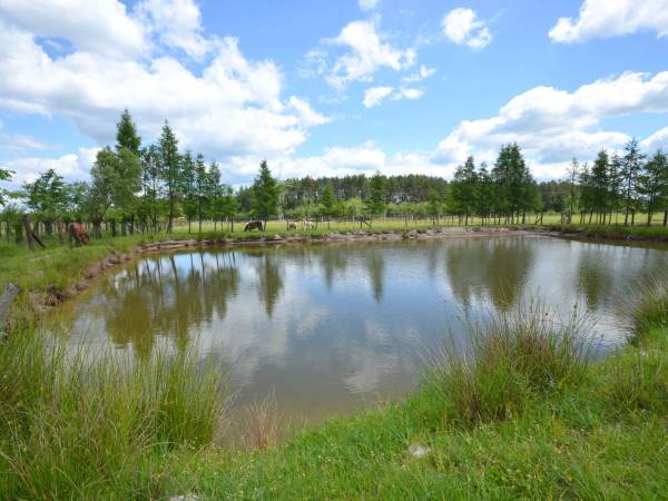 Agroturystyka Pod Lipą