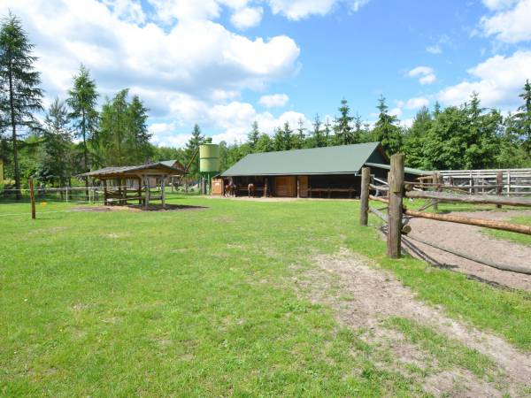 Agroturystyka Pod Lipą