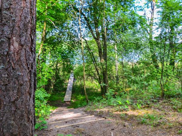 Domki letniskowe POMOST + ŁÓDKA + SILNIK GRATIS