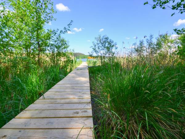 Domki letniskowe POMOST + ŁÓDKA + SILNIK GRATIS