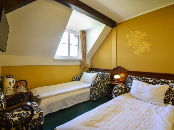 Apartament studio z sypialnią ( łózko Queen-size) i 2 sofami;