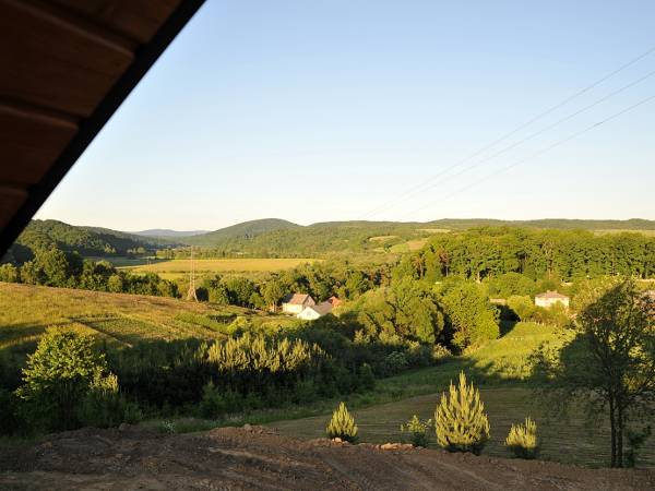 widok z domku
