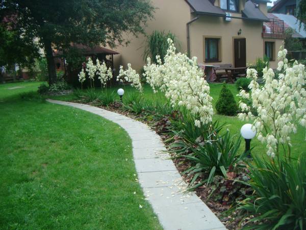 Pokoje gościnne Józefówka