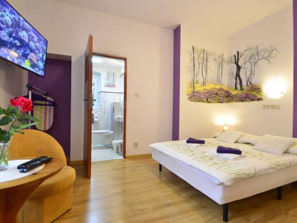 pok. nr 2 - Wrzosowy