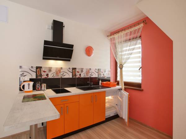 Aneks kuchenny'lodówka'płyta indukcyjna