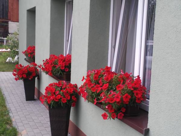 Pokoje Gościnne Ambelia