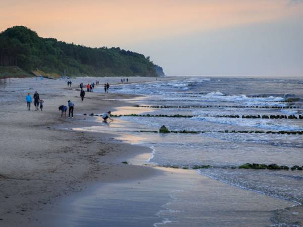 Flauta Domki Letniskowe 