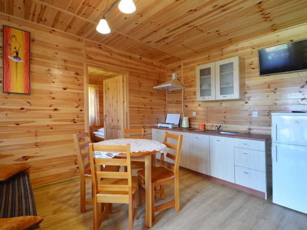 Salon z aneksem kuchennym