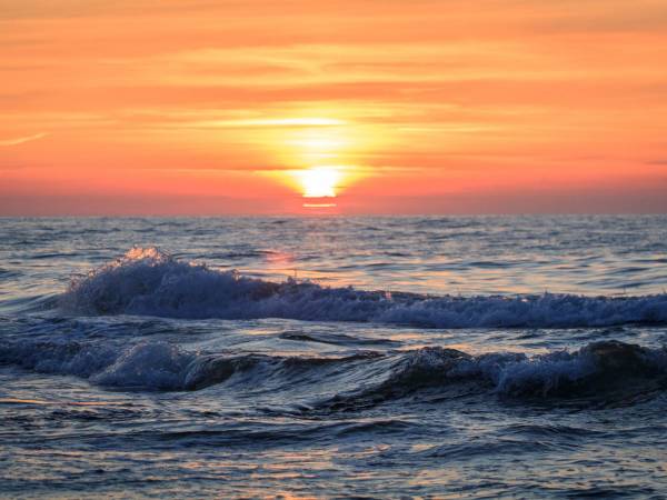 Flauta Domki Letniskowe 