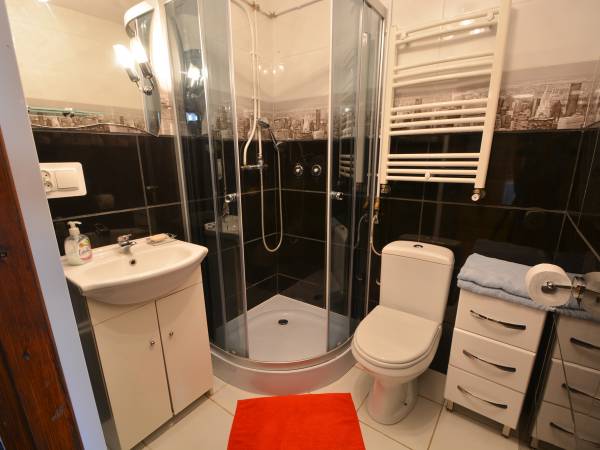 Domek Janka łazienka