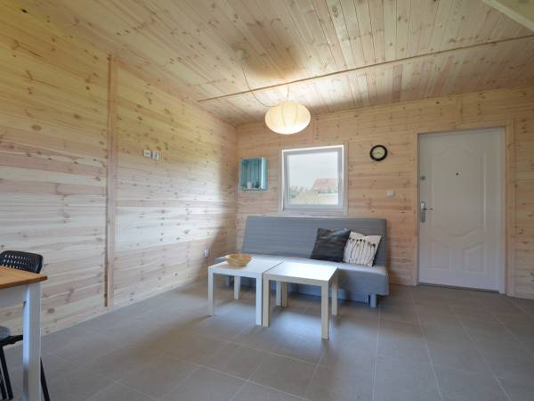 Pokój dzienny z aneksem kuchennym 