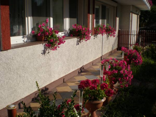 Dom Wypoczynkowy Muszelka