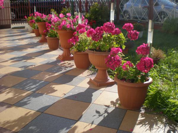 Dom Wypoczynkowy Muszelka