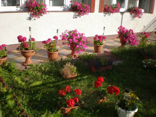 Dom Wypoczynkowy Muszelka