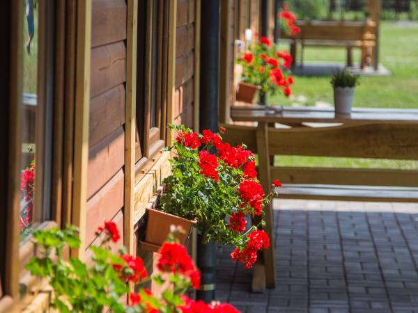 Ośrodek Wypoczynkowy ARENA w OKUNINCE