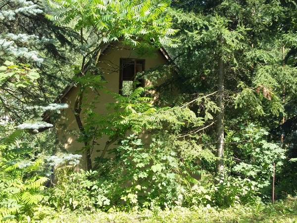 Domki w Dolinie Szklarki