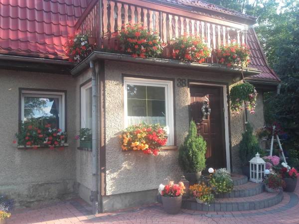 Agroturystyka Jaworowy Domek