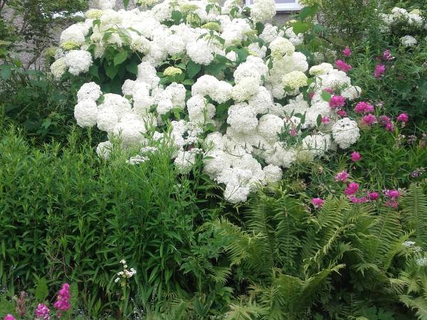 Agroturystyka Jaworowy Domek