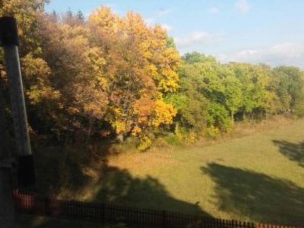 Agroturystyka Jaworowy Domek