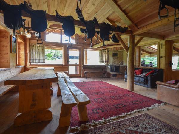 Stadnina Koni Huculskich