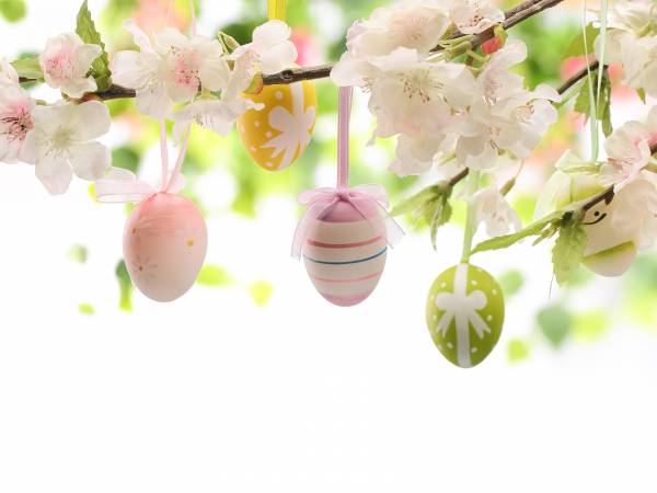 Ośrodek Rehabilitacyjny Leśna Polana