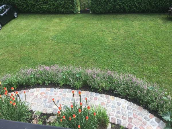 ogród i widok na parking